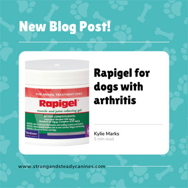 Rapigel for Dogs with Arthritis: A Natural Way to Relieve Pain and Improve Mobility