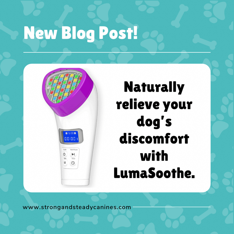 Naturally relieve your dog’s discomfort with LumaSoothe