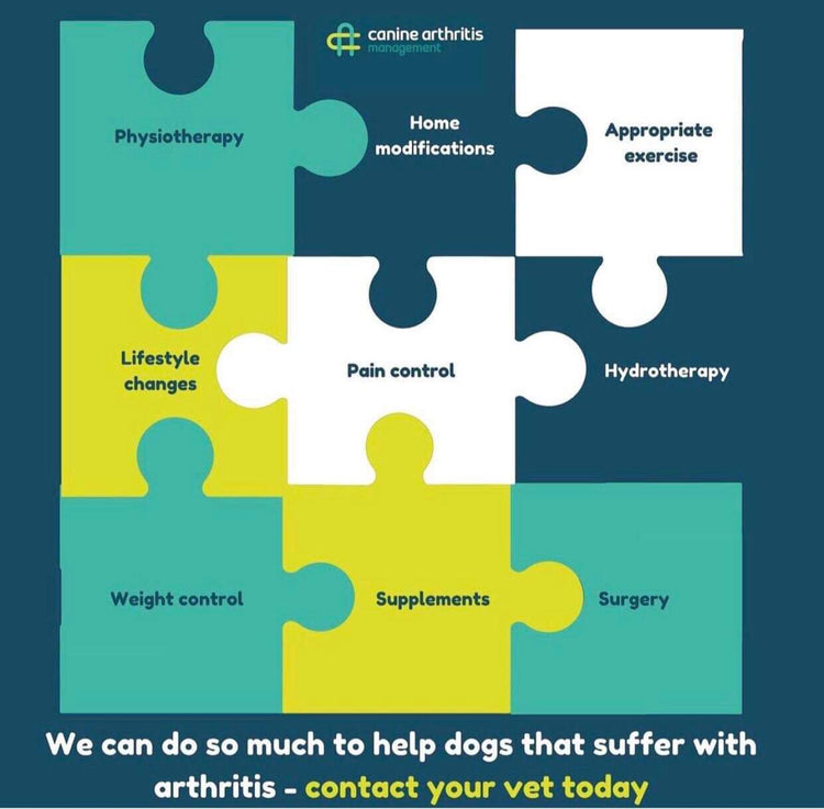 Putting the pieces together for arthritis management in dogs