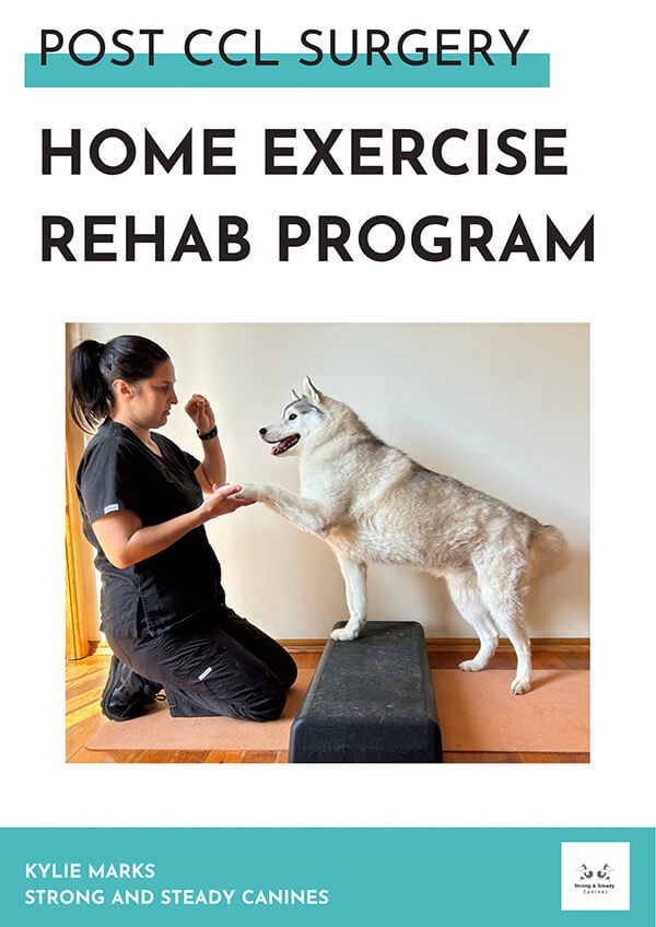 home exercise rehab program - post ccl surgery
