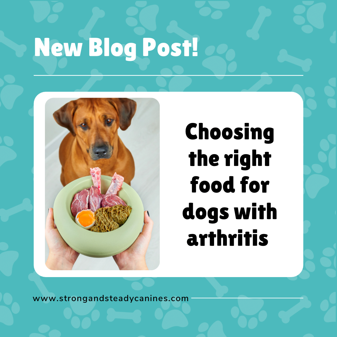 Choosing the Right Food for Dogs with Arthritis